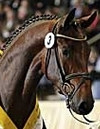 Bentley Image