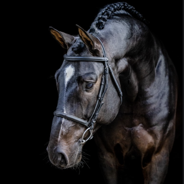 Sancerre Z Image