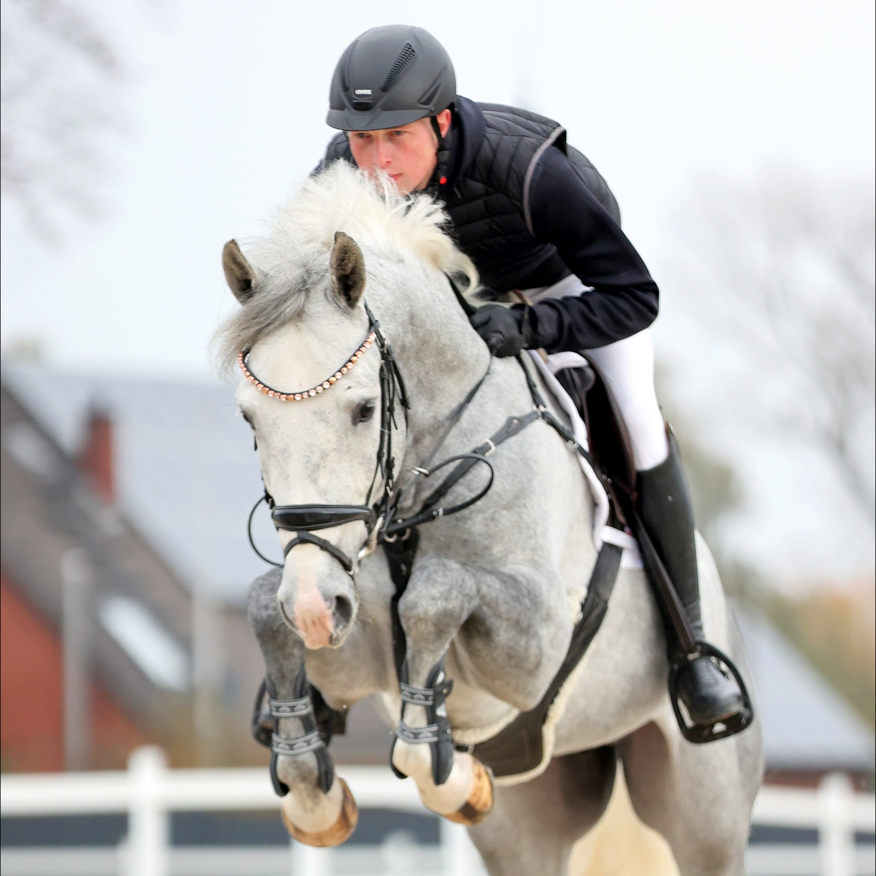 Chevalier Image