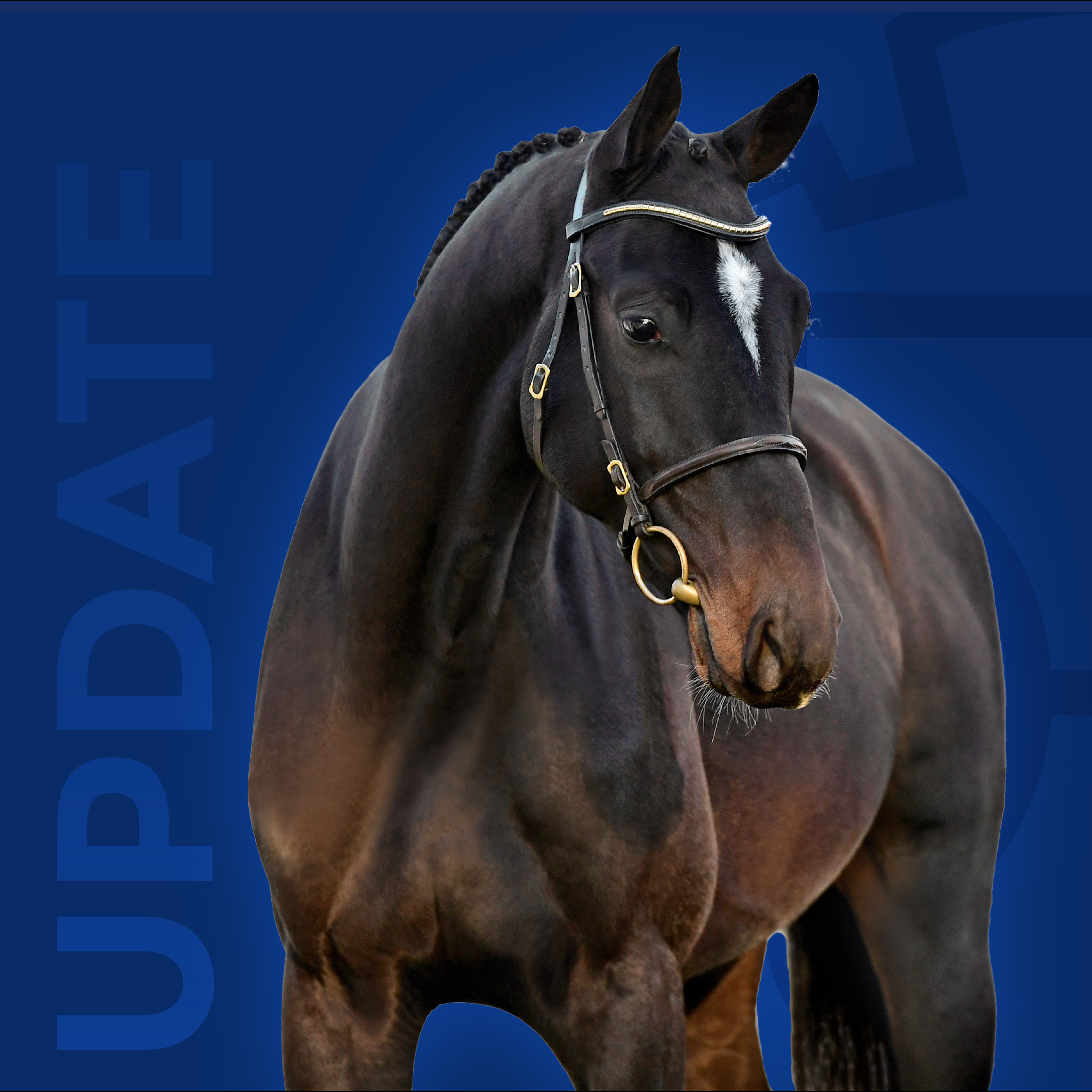 Update Image